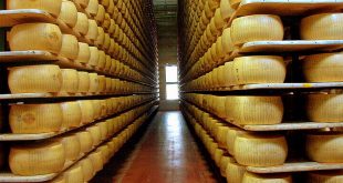 قیمت پنیر پارمسان