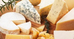 تولید عمده انواع پنیر