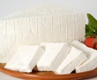 تولید پنیر سفید