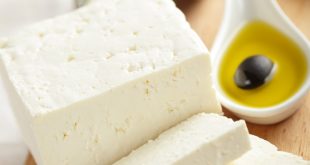 تولید پنیر لاکتیکی مرغوب در تبریز