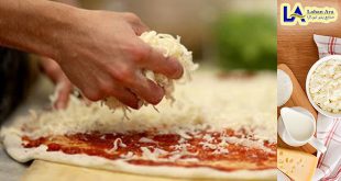 صادرات پنیر پیتزا