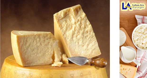 سایت فروش آنلاین انواع پنیر
