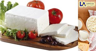 فروش پنیر سفید